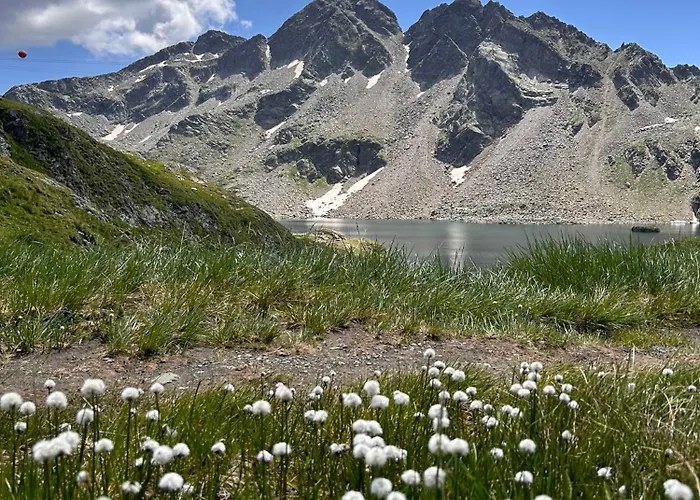 Appartementhaus Bergkristall 4*