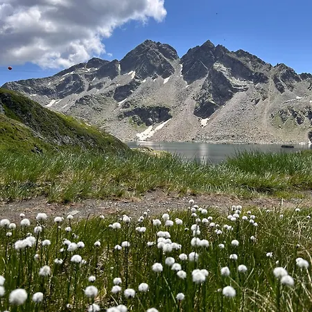Appartementhaus Bergkristall *